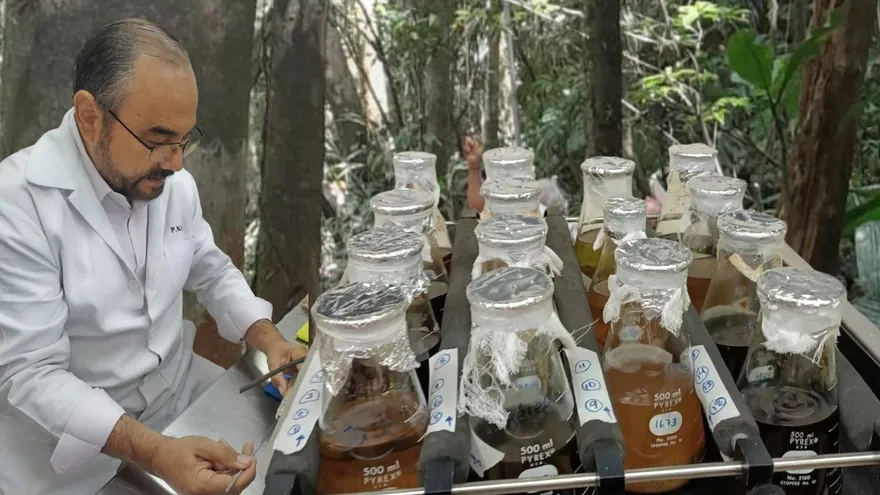 Pablo Solís, director de Ciflorplan de la Universidad de Panamá
