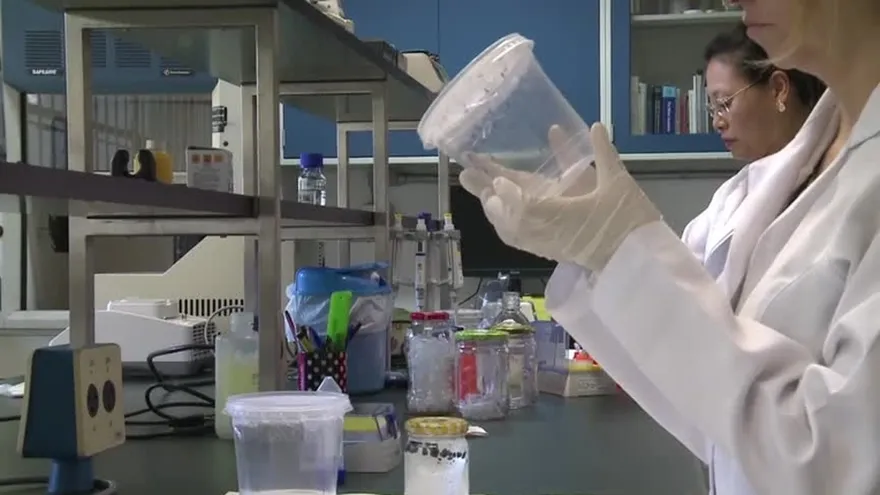 Población debe cooperar para erradicar el Zika