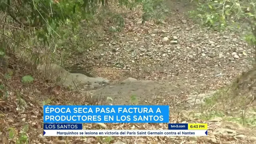 Productores y ganaderos santeños temen una crisis por sequía