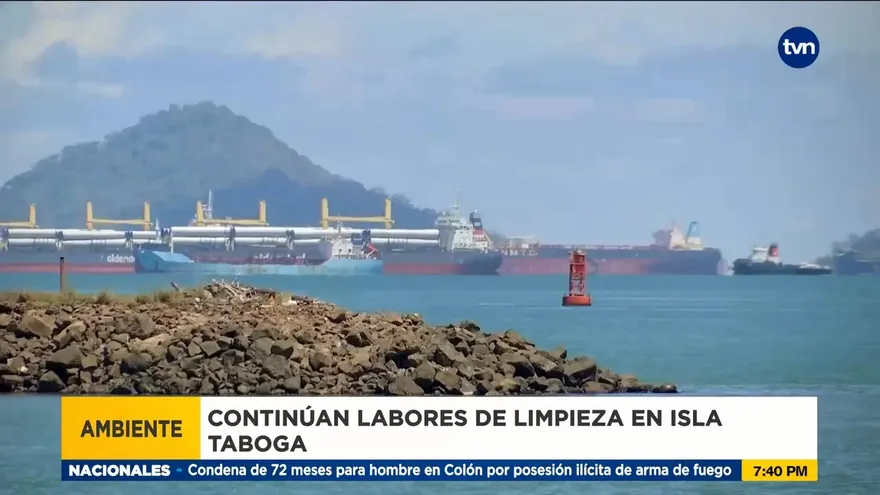 Panamá tiene problemas en delitos ambientales