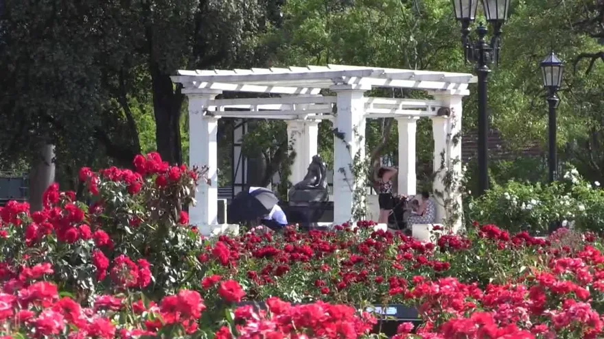 El Rosedal de Buenos Aires inmortaliza historias de película en sus bancos