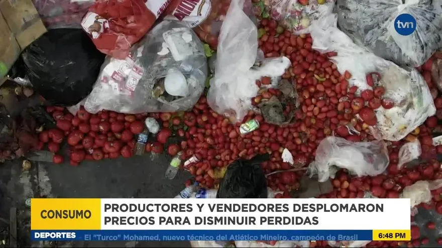 Precios del tomate se desplomaron