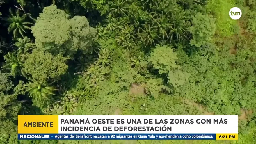 Inician plan de restauración forestal