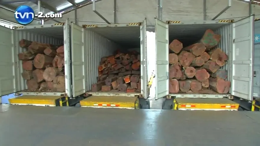 Decomisan madera ilegal en contenedores