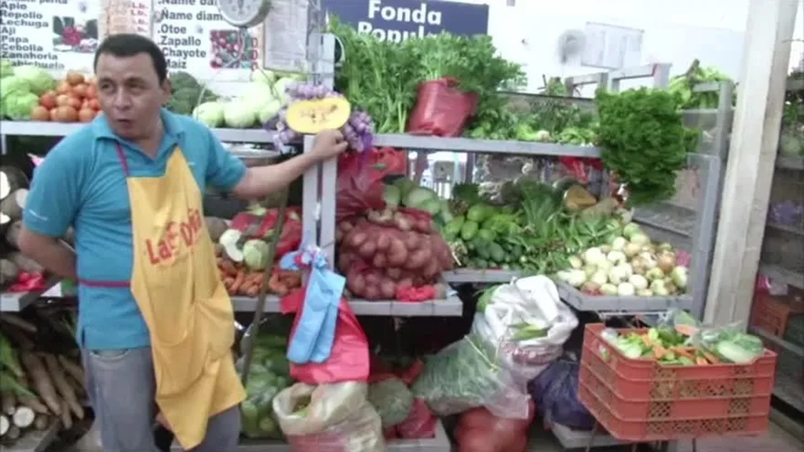 Productores de cebolla de Natá declaran la guerra a los intermediarios