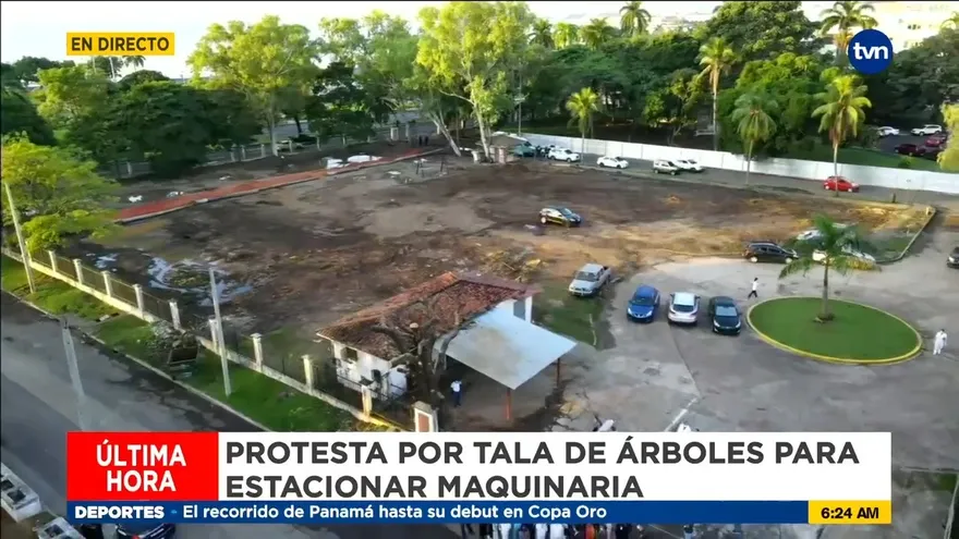 Dimes y diretes en protesta por tala de árboles en el Hospital Santo Tomás