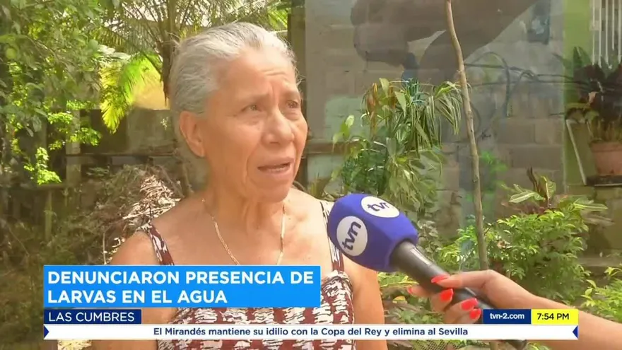 Residentes de Las Cumbres denunciaron presencia de larvas en el agua