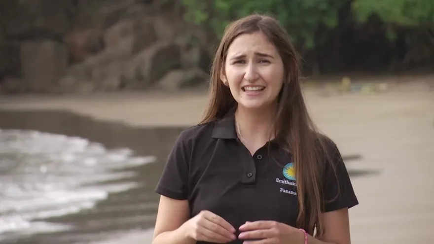 Científica responde dudas sobre microalgas