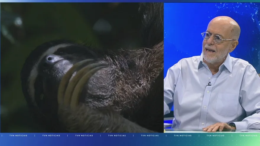 'Voces de la Naturaleza' regresa con su séptima edición enfocada en los parques nacionales de Panamá