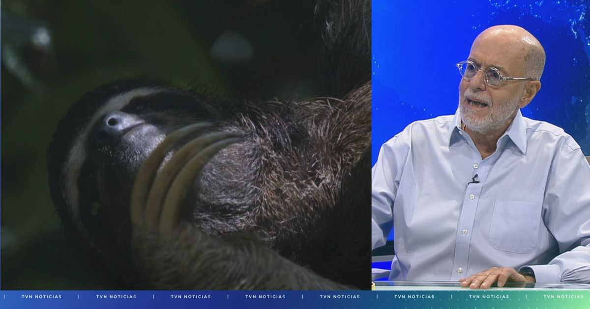 'Voces de la Naturaleza' regresa con su séptima edición enfocada en los parques nacionales de Panamá