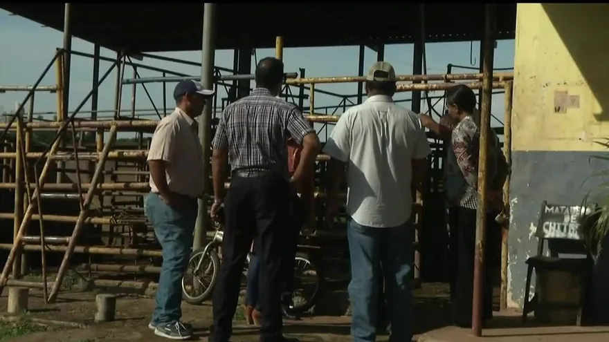 Minsa suspende temporalmente matadero en Chitré