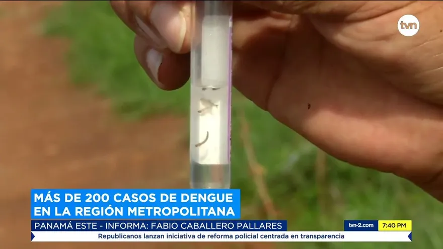 Dengue prolifera en Panamá Este