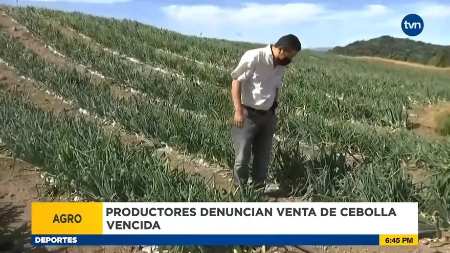 Denuncias venta de cebolla vencidas