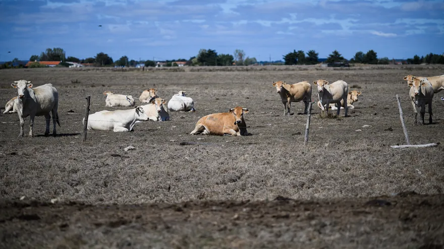 Francia propone más de mil millones de euros de ayudas a agricultores tras un duro verano