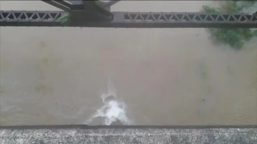 Niños se lanzan de puente en Bocas del Toro