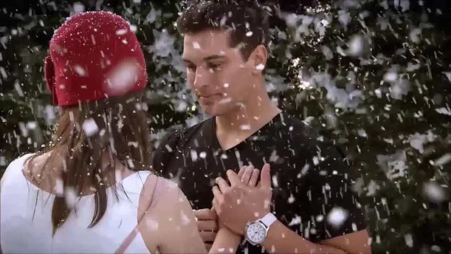 El secreto de Feriha Capítulo 40