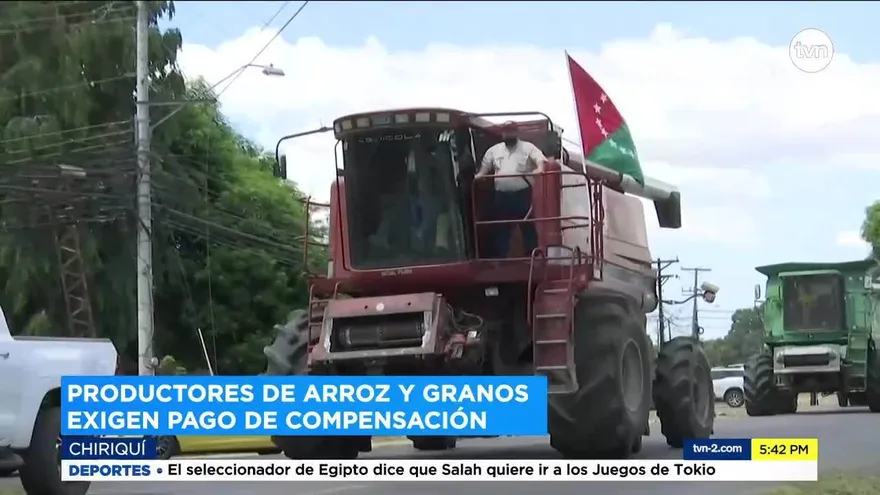 Productores de arroz realizan caravana en Chiriquí