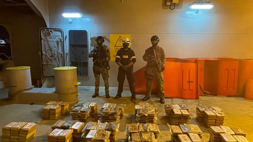 Parte de la droga decomisada