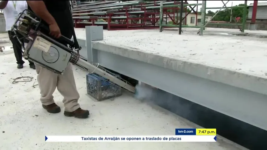 Piscinas de barrio están infestadas de alimañas