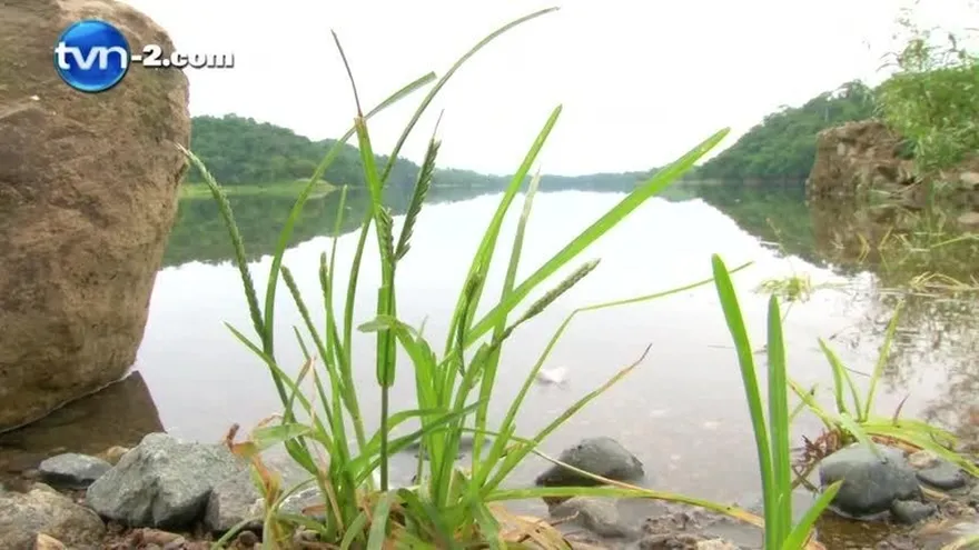 Nivel del embalse del Bayano