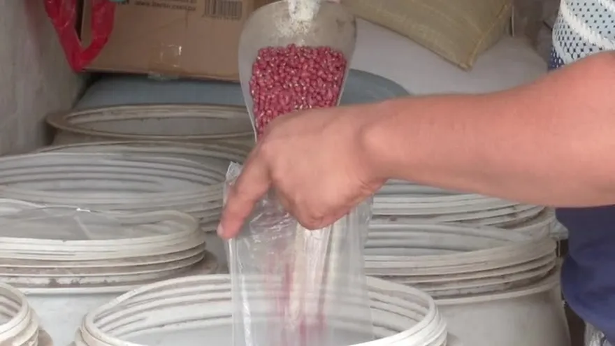 Los nutrientes de los frijoles, porotos y lentejas