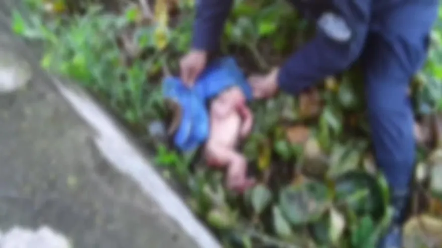 Casos de abandono de niños