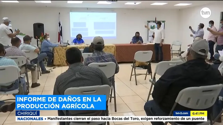 Rinden informe sobre producción agrícola afectada por lluvias en Chiriquí