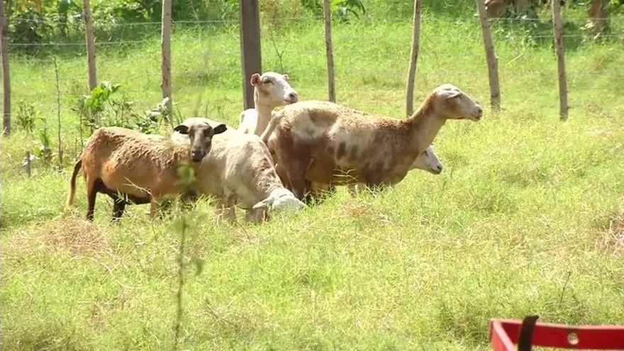 Recorrido de lagos para verificar su nivel