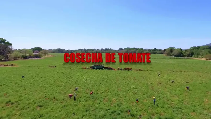 Hecho en Panamá 22 de diciembre de 2018