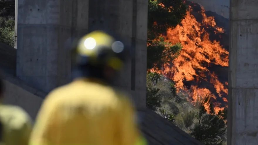 Incendio forestal en el sur de España