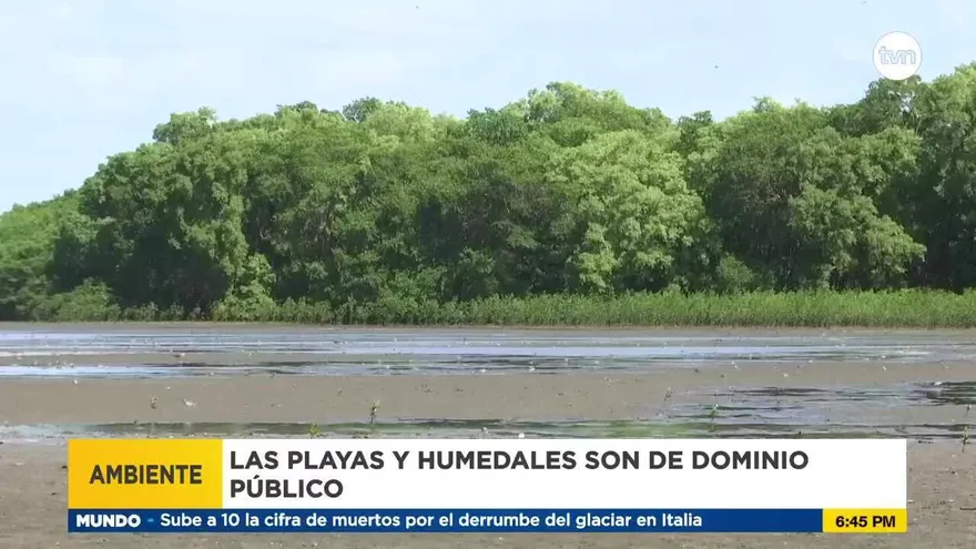 Reclaman acción ante invasión de área protegida en Bahía de Panamá