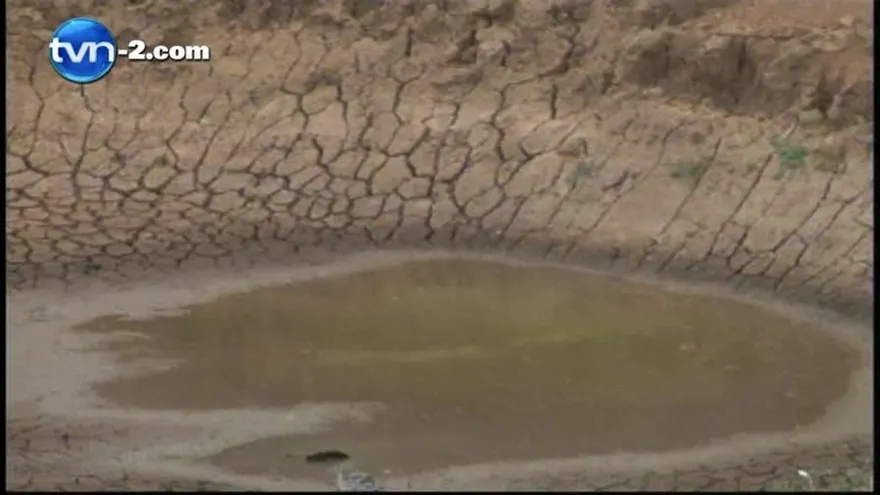 La sequía provoca pérdidas significativas en las provincias de Herrera y Los Santos