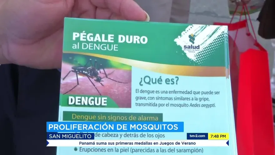 Piden tener cuidado con los mosquitos transmisores de enfermedades