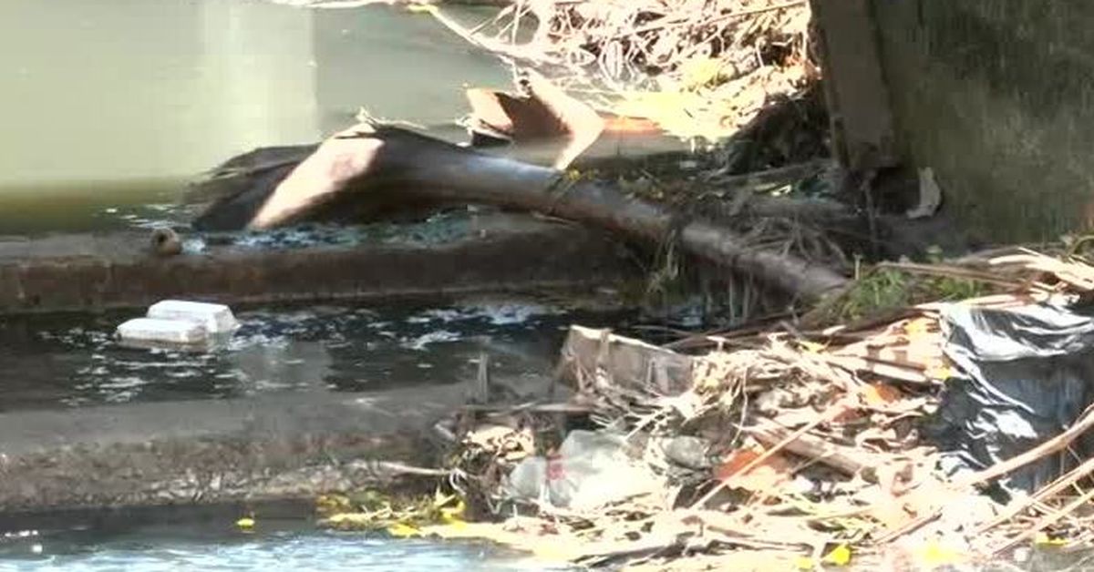 Desechos en alcantarillas aumentan riesgo de inundaciones ante llegada de lluvias