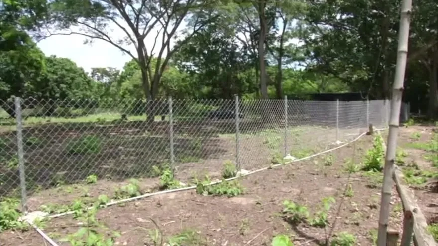 Invaden antigua propiedad de Noriega en Farallón