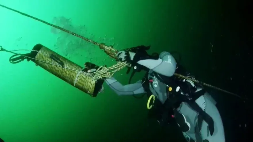 Contaminación acústica en el océano amenaza ballenas chilenas