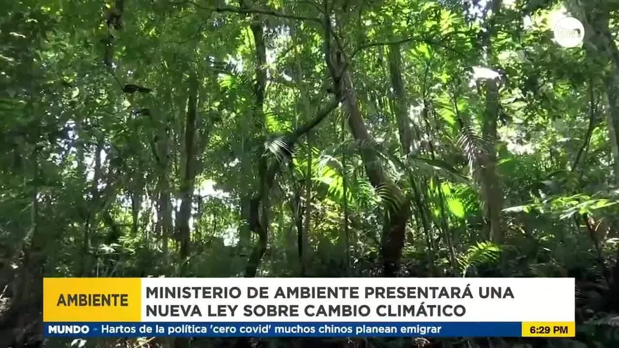 Ministerio de Ambiente presentará la primera Ley de Cambio Climático