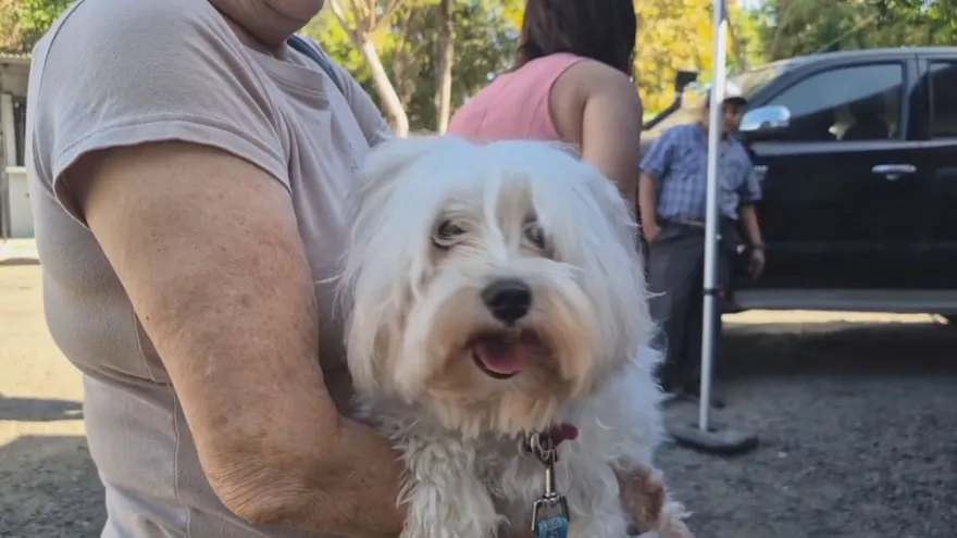 Una jornada de vacunación y atención veterinaria para mascotas se desarrolló este domingo en el centro de salud de Canto del Llano, en la provincia de Veraguas, como parte de las actividades de salud preventiva durante la temporada seca y de vacaciones.