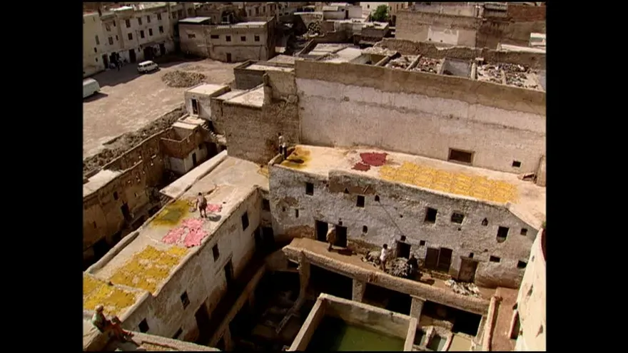 El Clon - Capítulo 28