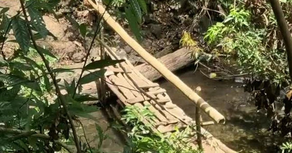 Comunidades de Capira improvisan paso peatonal tras colapso de puente sobre el río Perequeté