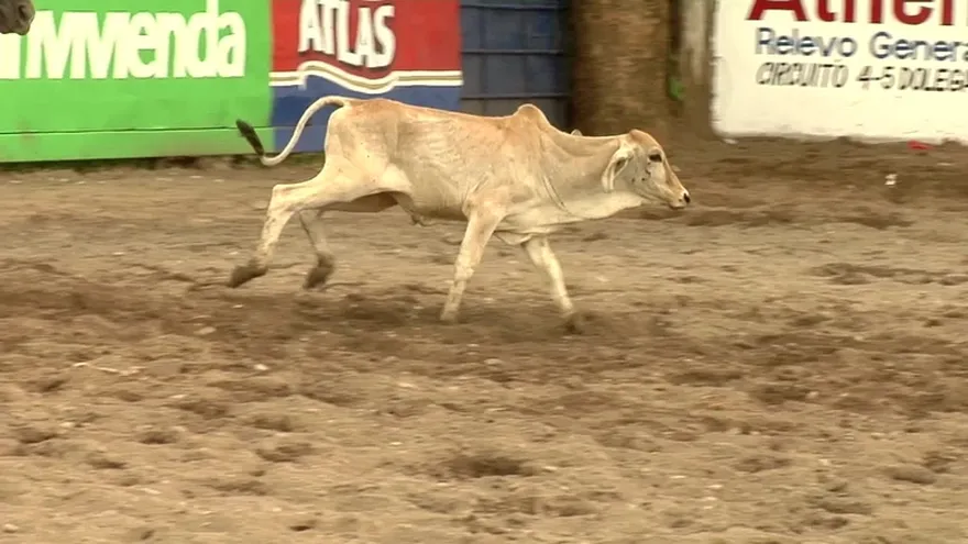 Conociendo más del deporte con Chiriquí Occidente