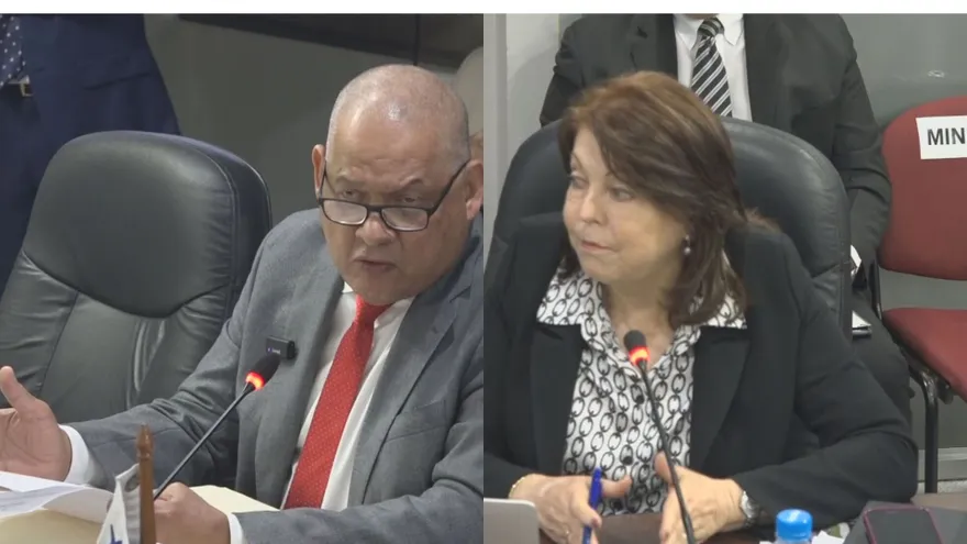 El diputado Benicio Robinson y la directora de la Descentralización, Roxana Méndez.