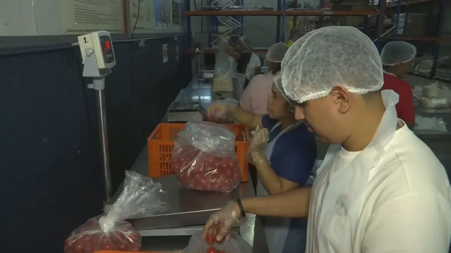 Panamá lidera encuentro internacional de Bancos de Alimentos