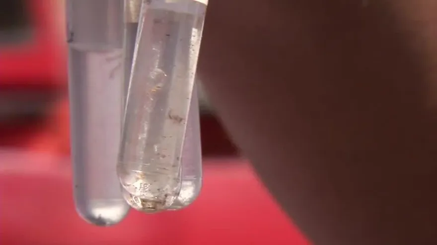 Víctima de dengue en Las Garzas de Pacora