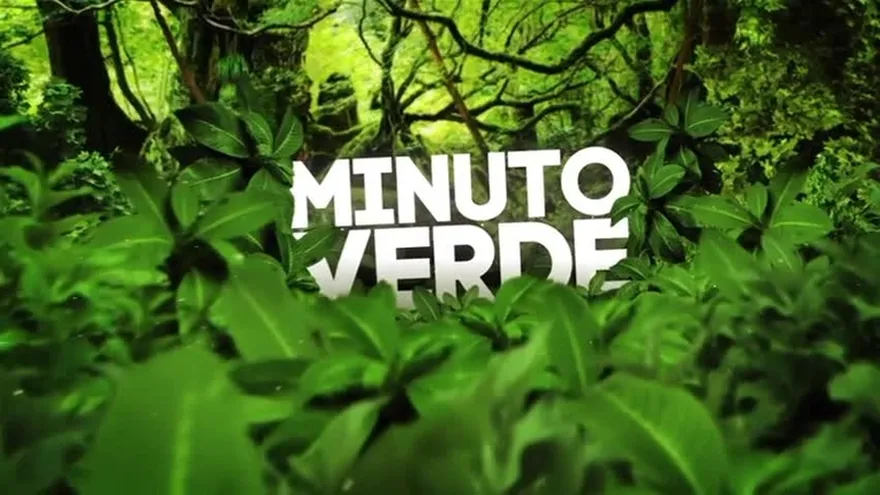 Panamá se deteriora por quemas, talas y mal uso del agua