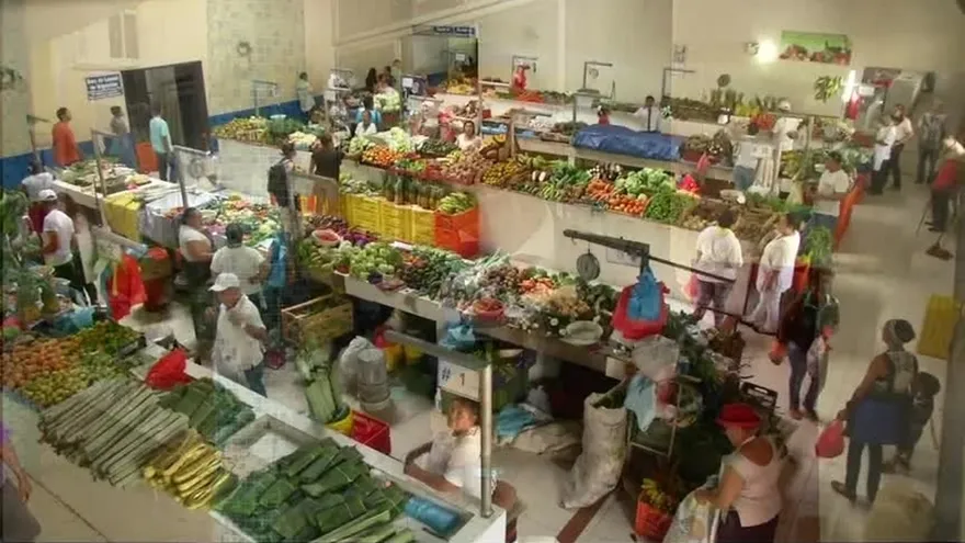 Persiste la escasez de cebolla en el mercado, según consumidores