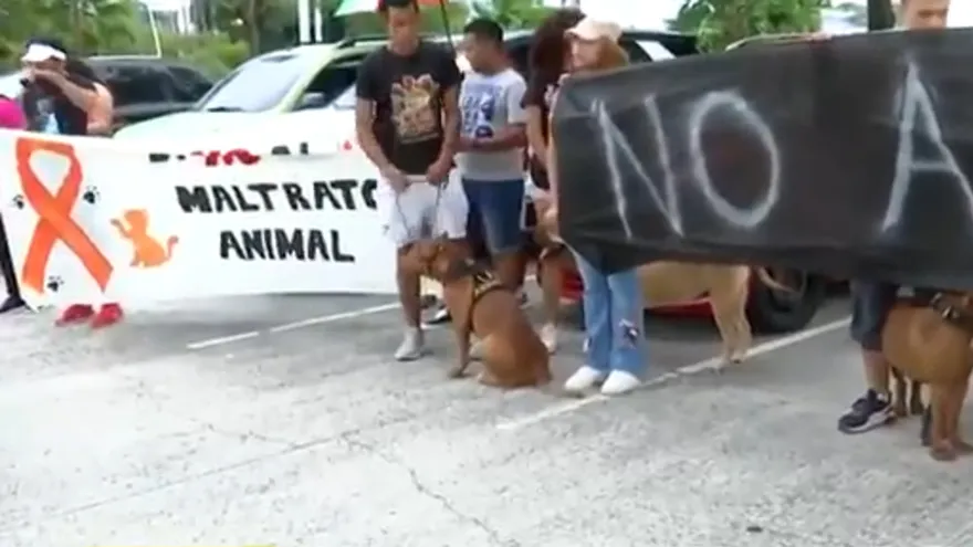 Amigos de los animales protestaron en rechazo al proyecto de ley