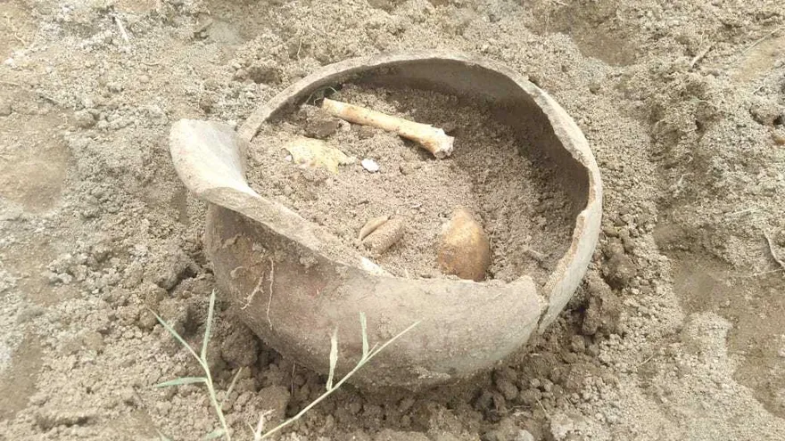 El hallazgo se hizo durante el fin de semana.