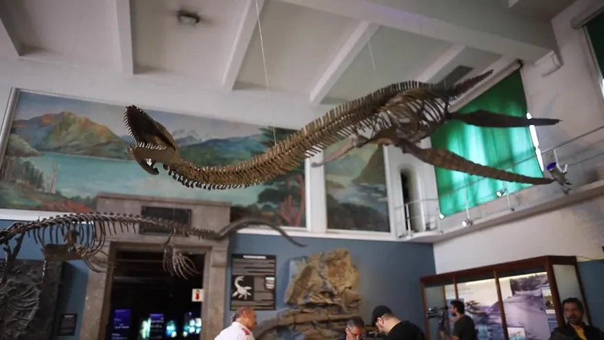 Presentan en Argentina reptil marino de hace 65 millones de años