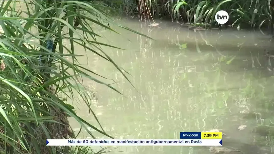 Denuncian contaminación en quebrada ubicada en Bethania